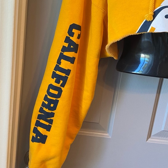 CALIFONIA GOLDEN BEARS Cal Bears Cropped Hoodie Fits SZ M-XL - Picture 4 of 4